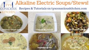 Tys Conscious Kitchen Alkaline Electric Soups Stews