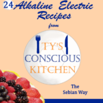 Vol. 3 Dessert Edition: eBook: Alkaline Electric Recipes from Ty’s Conscious Kitchen The Sebian Way