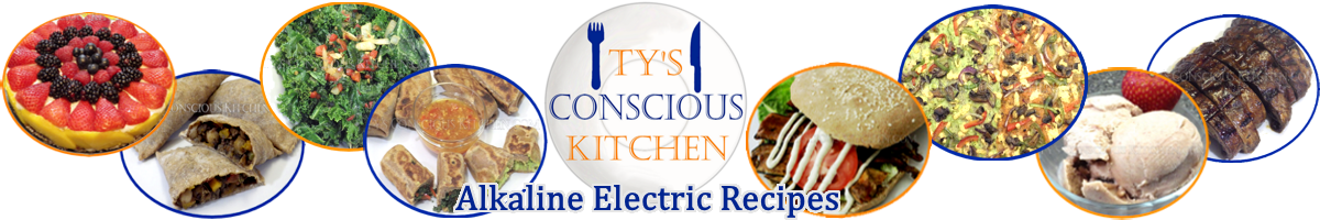Ty’s Conscious Kitchen Alkaline Electric Recipes