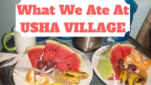 What We Ate At Usha Village