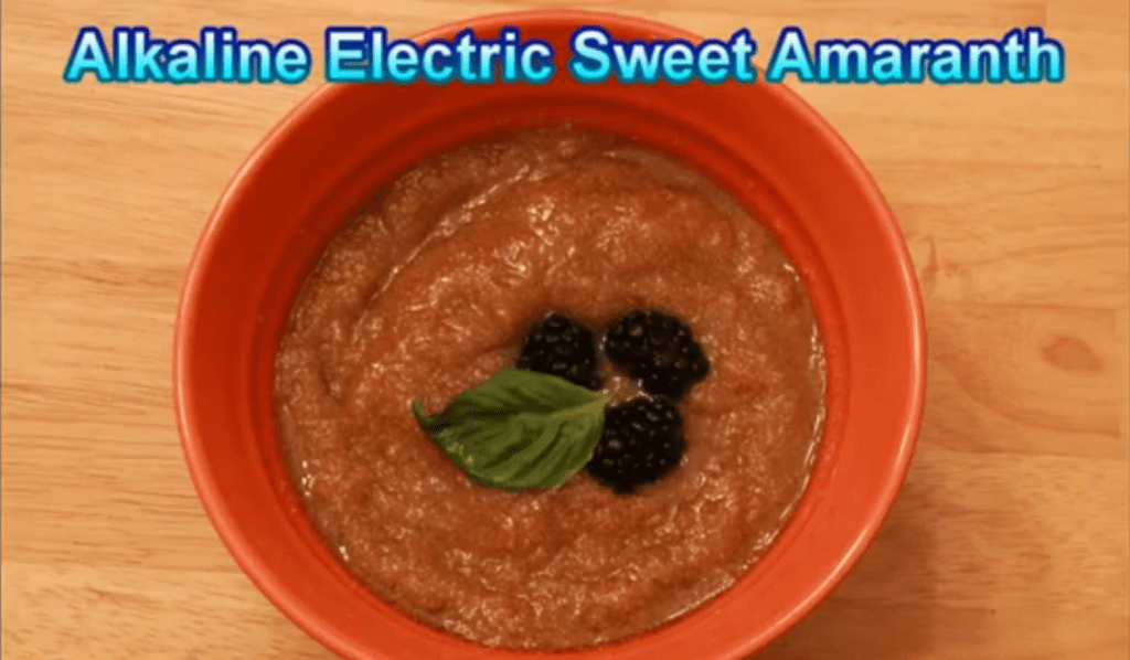 Alkaline Electric Recipes The Sebian Way - Ty's Conscious Kitchen